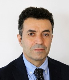 Professor Hamid Hosano