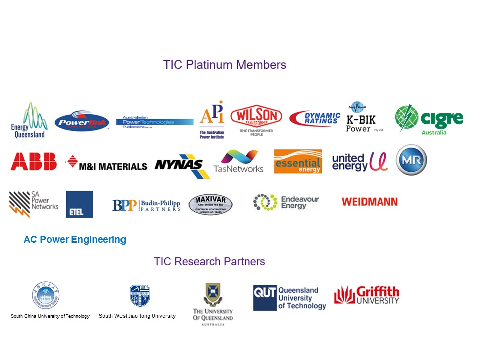 TIC partners
