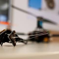 photo of drone with sensor like whiskers