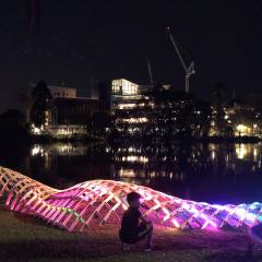 UQ Bloom installation, 'Undulate'.